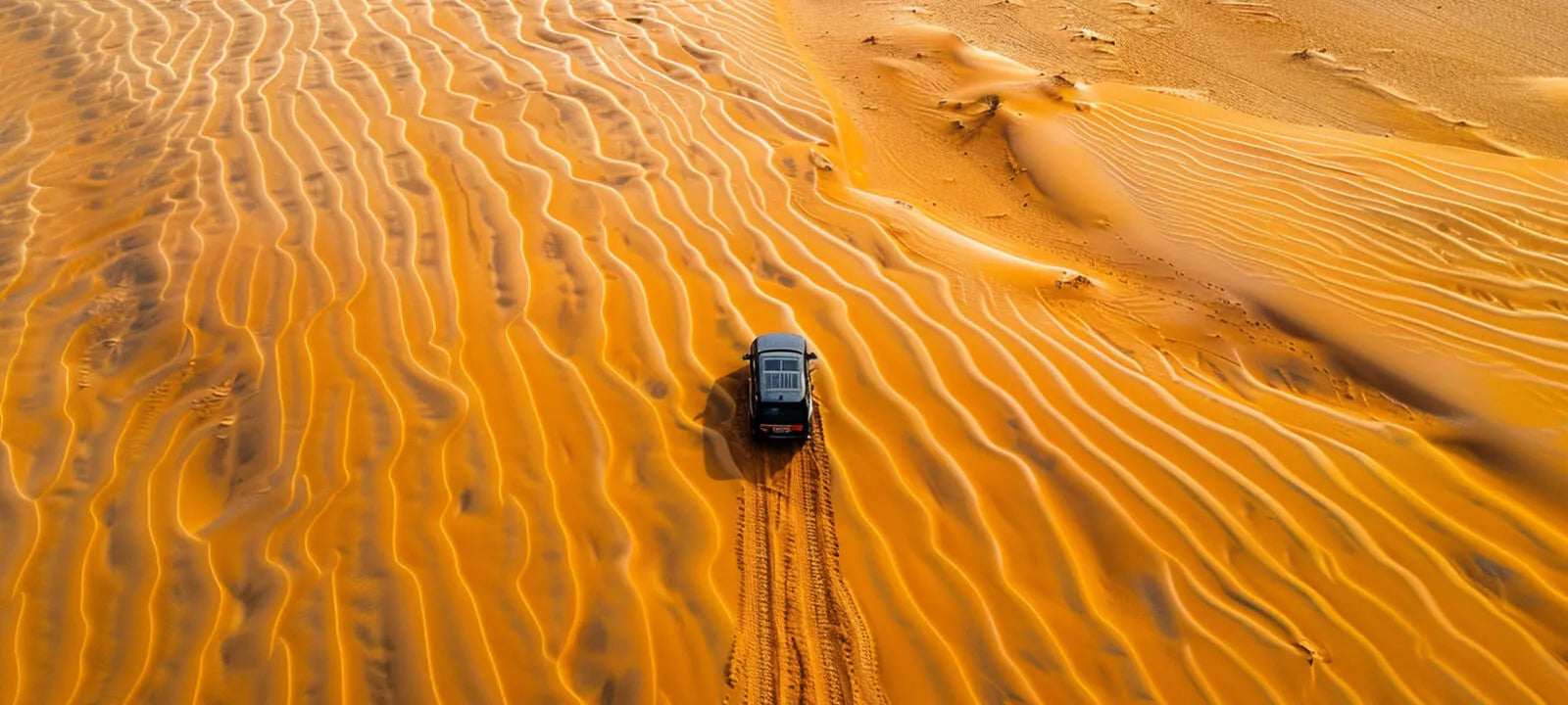 Venturing through golden dunes, a symbol of the travel spirit.